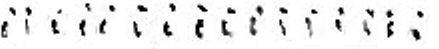 RNKi14.jpg (9875 bytes)