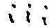 RNKi25.jpg (2139 bytes)